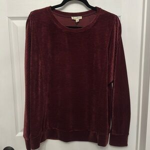 NWT Jane and Delaney velour top. Large.